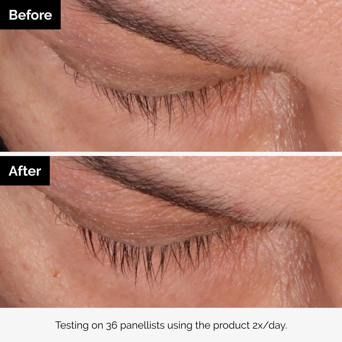 Multi-Peptide Lash and Brow Serum